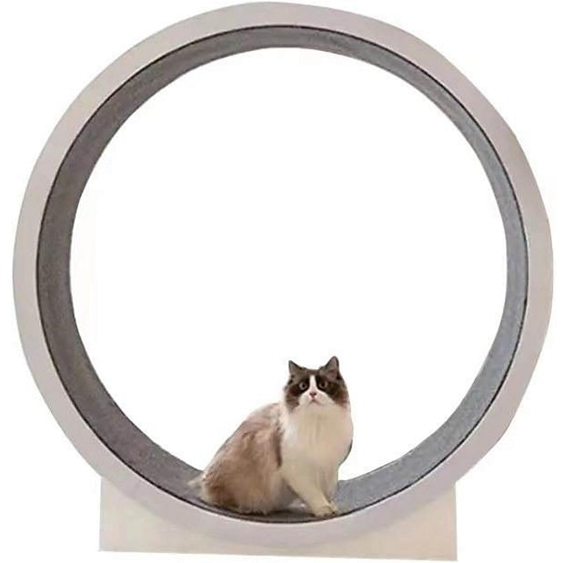 Aristokatz Roue d'Exercice pour chats 120cm