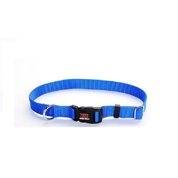 Collier Reflex 1" x 16-25" Bleu Royal