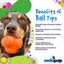 SodaPup Balle Crazy Bounce Orange Large