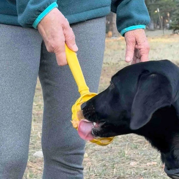 SodaPup Bâton à lécher ruche jaune