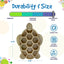 SodaPup jouet interactif tortue en nylon