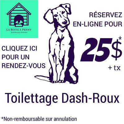 Toilettage Dash-Roux rendez-vous