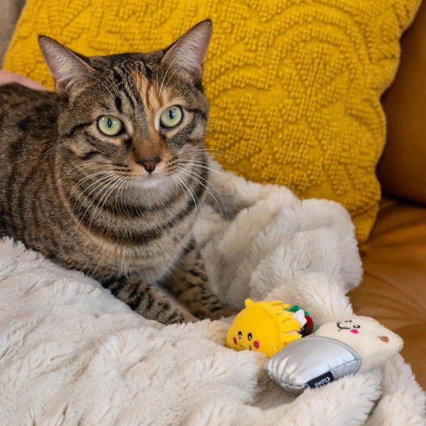 ZippyClaws Taco et Burrito jouet pour chat 2 unités