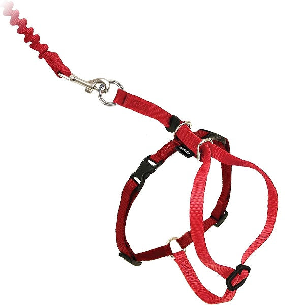 Petsafe Come With Me Kitty Harnais Et Laisse Bungee Pour Chat Rouge Large