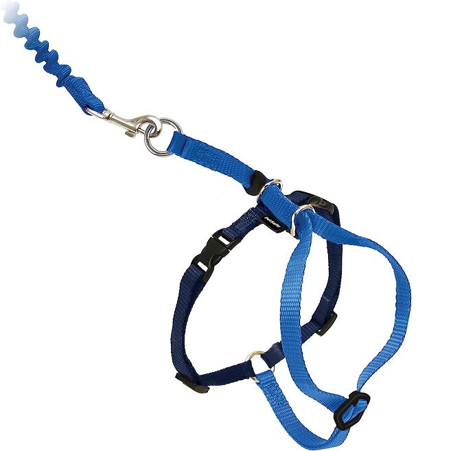 Petsafe Come With Me Kitty Harnais Et Laisse Bungee Pour Chat Bleu Moyen